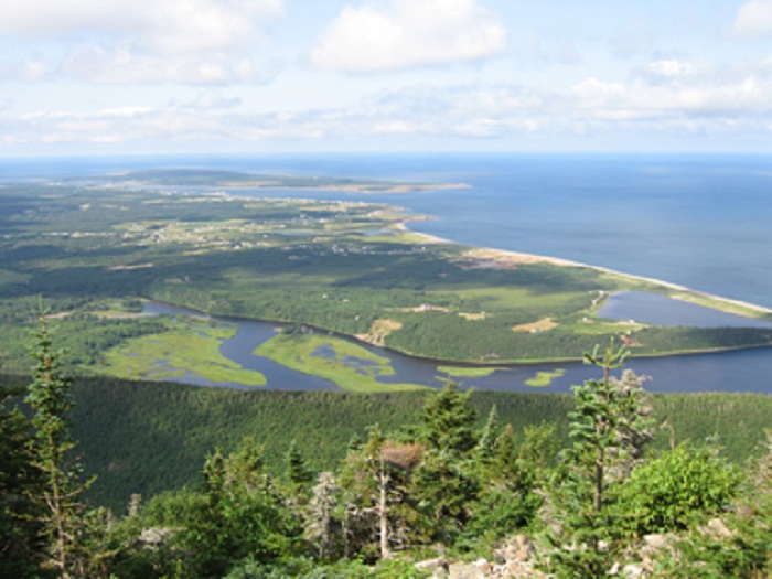 acadian trail pic 2.jpg